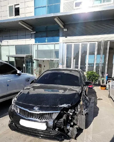 2019 Kia K5 KNAGT411BKA320729 VIN:KNAGT411BKA320729