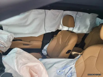 2020 Kia Sorento KNAPG81ABLA626790 VIN:KNAPG81ABLA626790