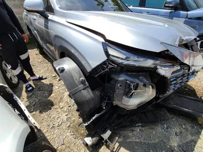 2019 Hyundai Santa FE KMHS381BBKU156411 VIN:KMHS381BBKU156411