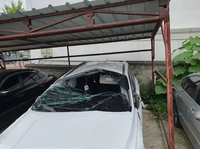 2019 Hyundai Santa FE KMHS381BBKU073201 VIN:KMHS381BBKU073201