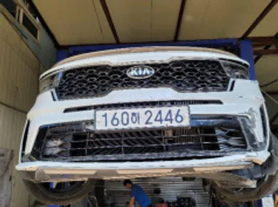 2021 Kia Sorento KNARL81BGMA091910 VIN:KNARL81BGMA091910