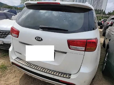 2018 Kia Carnival KNAMC81ABJS411166 VIN:KNAMC81ABJS411166