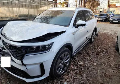2021 Kia Sorento KNARG81BGMA025824 VIN:KNARG81BGMA025824