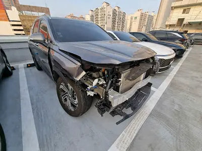 2021 Hyundai Santa FE KMHS381LGMU412456 VIN:KMHS381LGMU412456