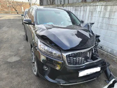 2018 Kia Sorento KNAPG81BBJA420599 VIN:KNAPG81BBJA420599