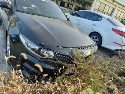 2016 Kia K5 KNAGU411BGA061390 VIN:KNAGU411BGA061390