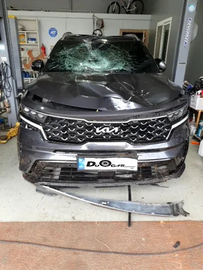 2022 Kia Sorento KNARF81BGNA134251 VIN:KNARF81BGNA134251