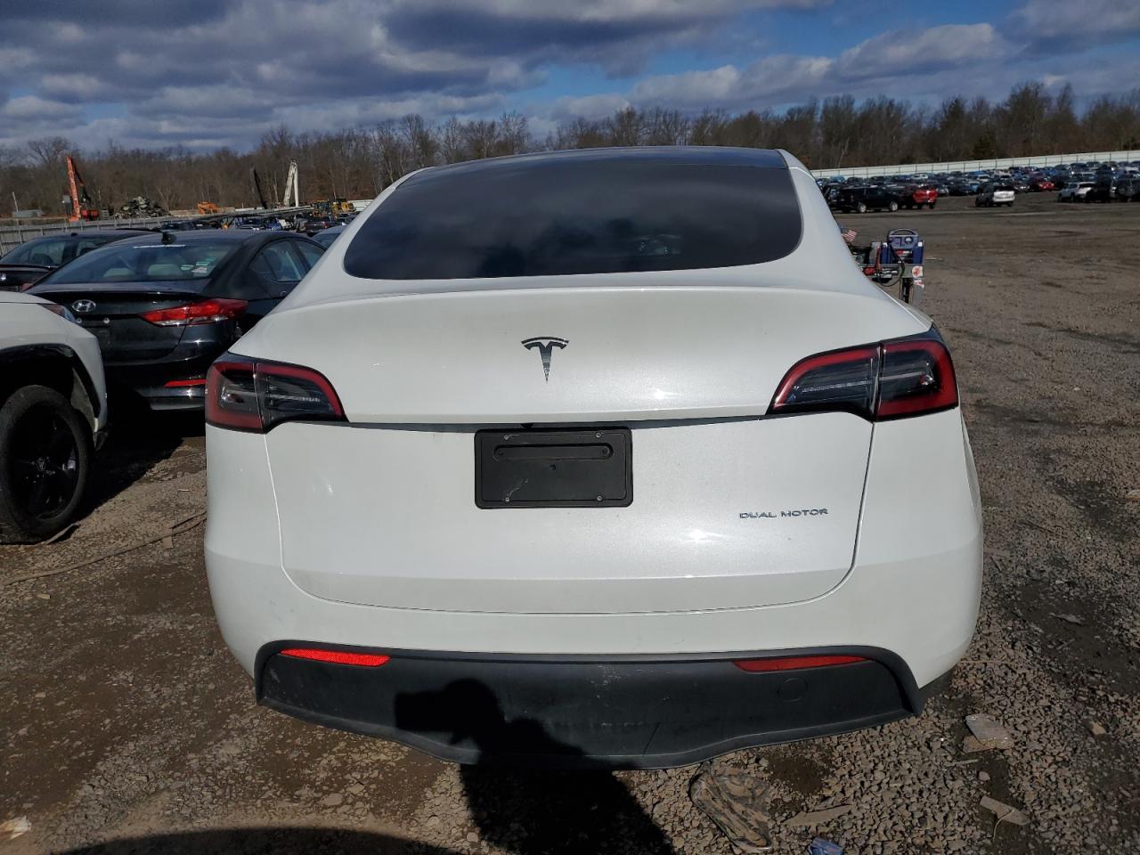 2023 TESLA MODEL Y  VIN:7SAYGDEE7PF674655