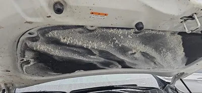 2019 Hyundai Santa FE VIN: