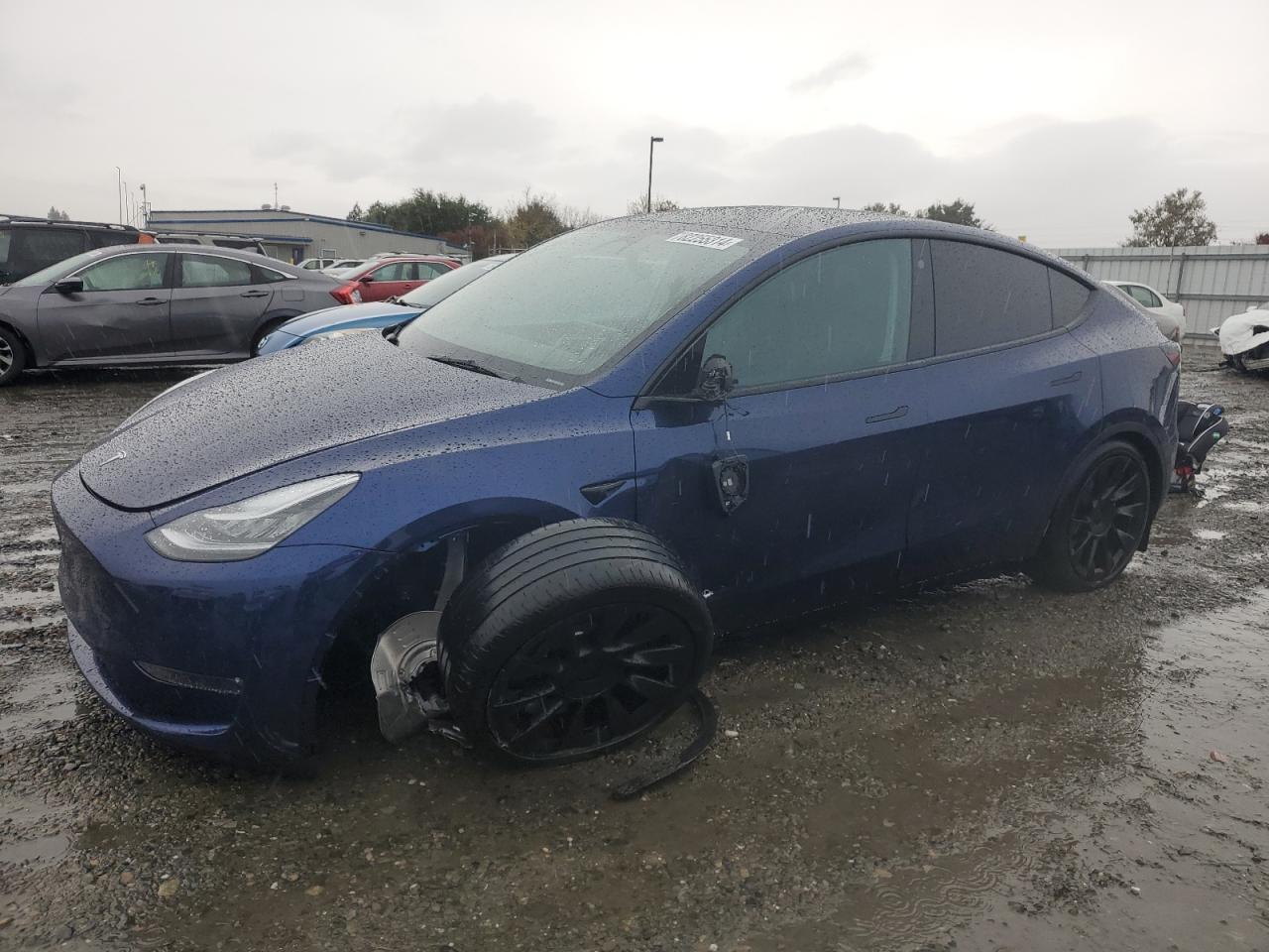 2023 TESLA MODEL Y  VIN:7SAYGDEE8PA117864