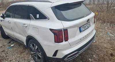 2021 Kia Sorento KNARH81GBMA021079 VIN:KNARH81GBMA021079