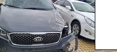 2017 Kia Sorento KNAPS81ABHA341237 VIN:KNAPS81ABHA341237