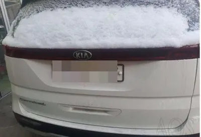 2020 Kia Carnival VIN:
