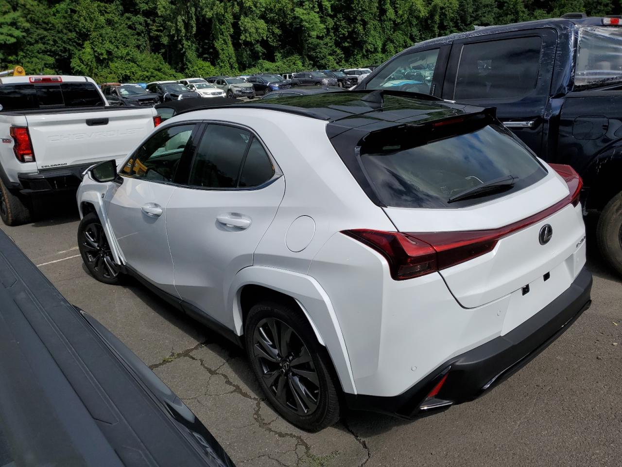 2024 LEXUS UX 250H PREMIUM VIN:JTHR6JBH1R2187361