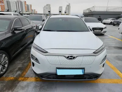 2020 Hyundai Kona KMHK381GFLU102366 VIN:KMHK381GFLU102366
