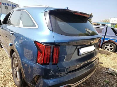 2021 Kia Sorento KNARH81GBMA047432 VIN:KNARH81GBMA047432