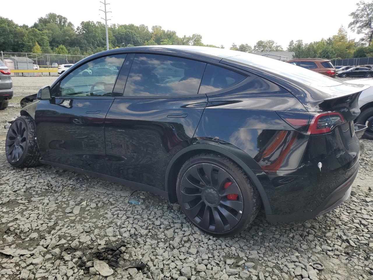 2022 TESLA MODEL Y  VIN:7SAYGDEF1NF516446