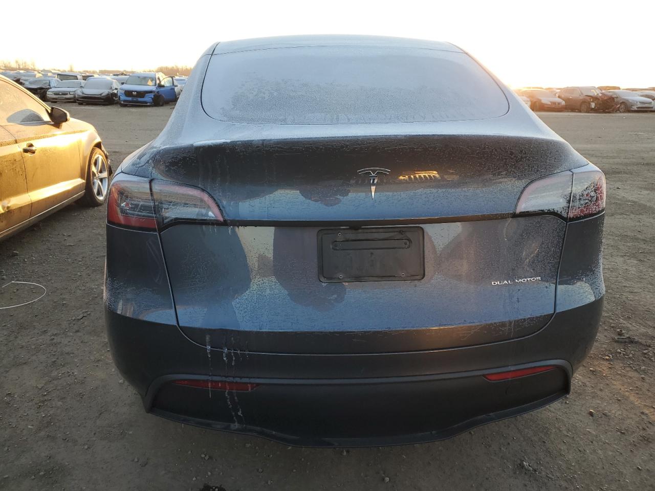 2023 TESLA MODEL Y  VIN:7SAYGDEEXPA188113