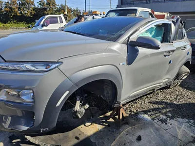 2019 Hyundai Kona KMHK381GFKU039034 VIN:KMHK381GFKU039034