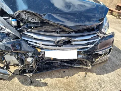 2017 Hyundai Santa FE KMHSW81UBJU816502 VIN:KMHSW81UBJU816502