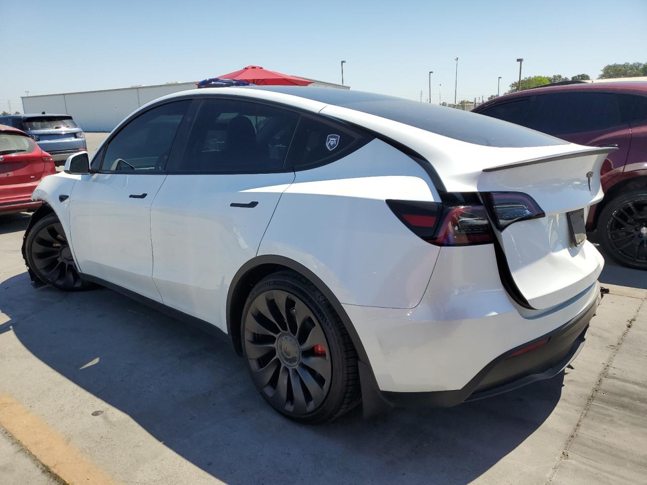 2023 TESLA MODEL Y  VIN:7SAYGDEF6PF843749