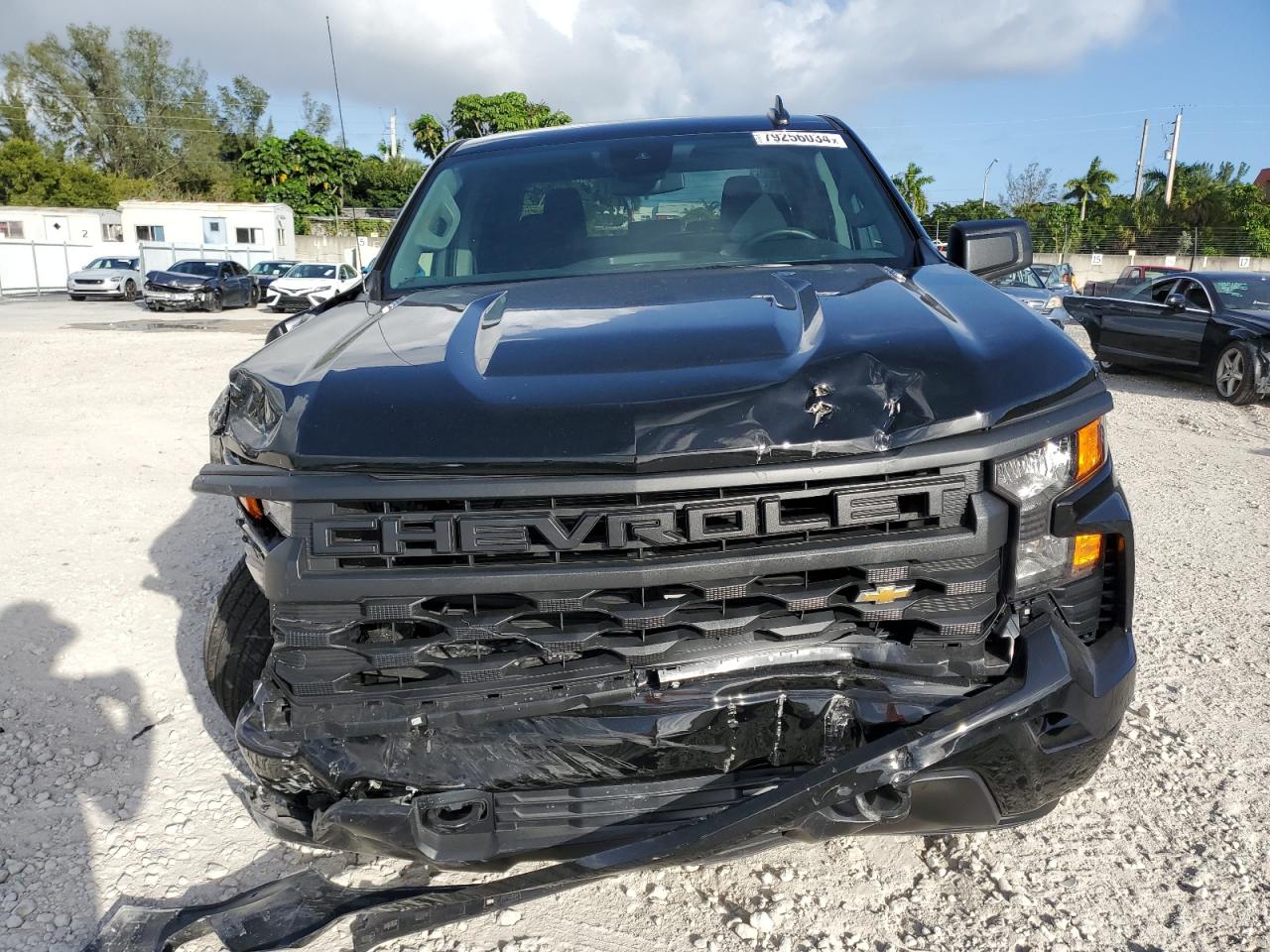 2024 CHEVROLET SILVERADO C1500 CUSTOM VIN:3GCPABEK9RG444603