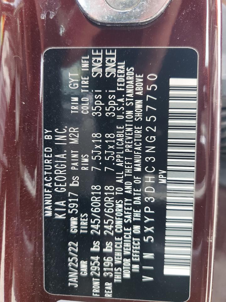 2022 KIA TELLURIDE EX VIN:5XYP3DHC3NG257750