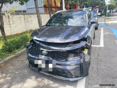 2020 Kia Sorento KNAPG81ABLA626790 VIN:KNAPG81ABLA626790