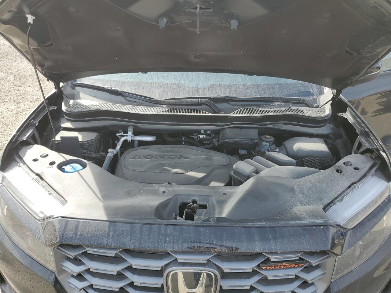 2023 HONDA PASSPORT TRAIL SPORT VIN:5FNYF8H68PB502081