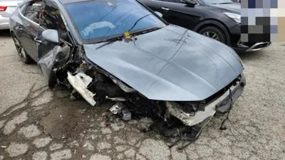 2021 Audi 50 WAUZZZF29MN018738 VIN:WAUZZZF29MN018738