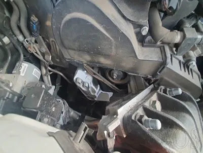 2021 Kia Sorento KNARL81BGMA060460 VIN:KNARL81BGMA060460