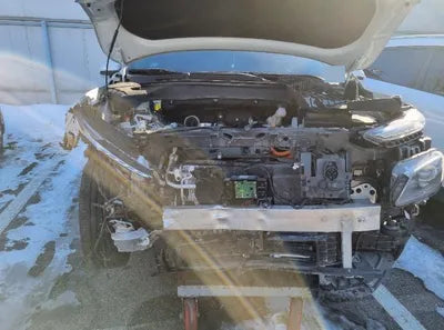 2019 Hyundai Kona KMHK381GFKU056455 VIN:KMHK381GFKU056455