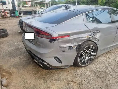 2021 Kia Stinger KNAE351DDMS093636 VIN:KNAE351DDMS093636