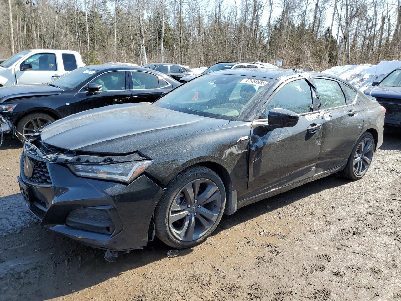 2023 ACURA TLX A-SPEC VIN:19UUB6F58PA800035