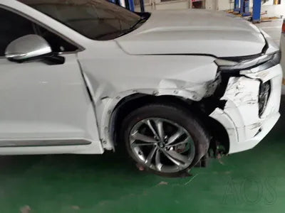 2019 Hyundai Santa FE KMHS581ABLU247207 VIN:KMHS581ABLU247207