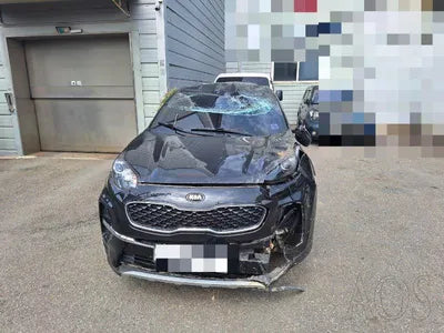 2019 Kia Sportage KNAPL812GKK629016 VIN:KNAPL812GKK629016