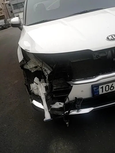 2021 Kia Carnival KNANE81BBMS067503 VIN:KNANE81BBMS067503