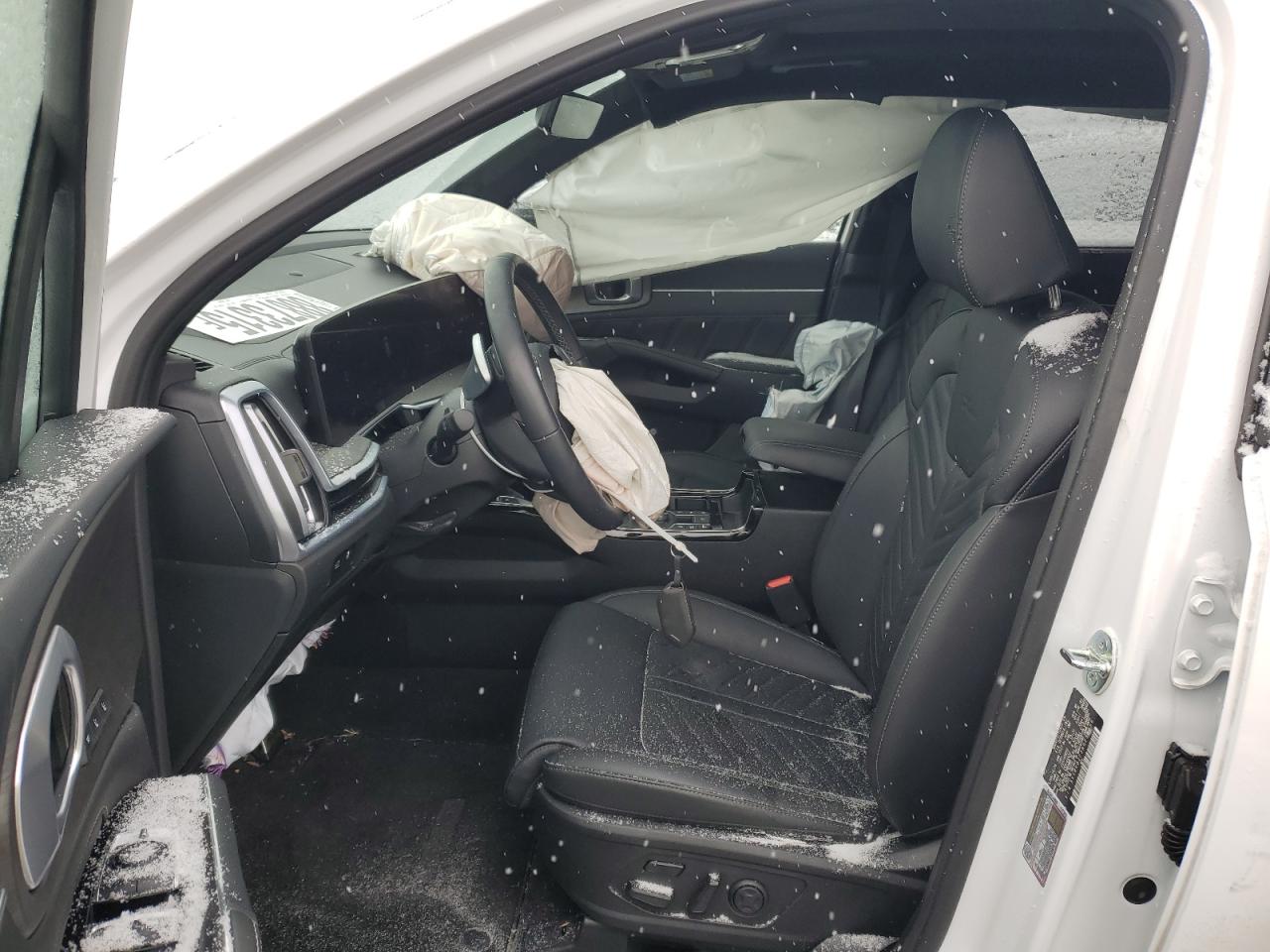 2024 KIA SORENTO SX VIN:5XYRKDJF2RG256059