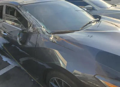 2018 Nissan Maxima 1N4AA6AP7JC399219 VIN:1N4AA6AP7JC399219