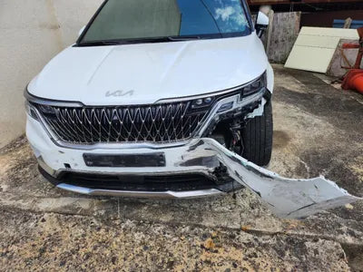 2023 Kia Carnival KNANE81BBPS305434 VIN:KNANE81BBPS305434