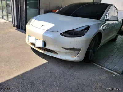 2020 Tesla Model 3 5YJ3E1EB9LF750825 VIN:5YJ3E1EB9LF750825