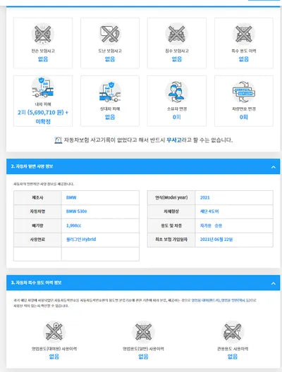 2021 BMW 530 WBA51AG09MCG73100 VIN:WBA51AG09MCG73100