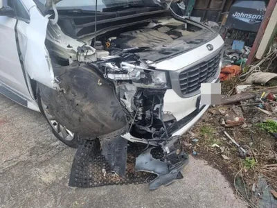 2018 Kia Carnival KNAME81ABKS533413 VIN:KNAME81ABKS533413