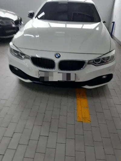 2015 BMW 420 WBA4F1102FG313293 VIN:WBA4F1102FG313293