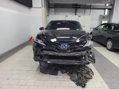 2019 Toyota Camry JTNB21HKXK3039562 VIN:JTNB21HKXK3039562