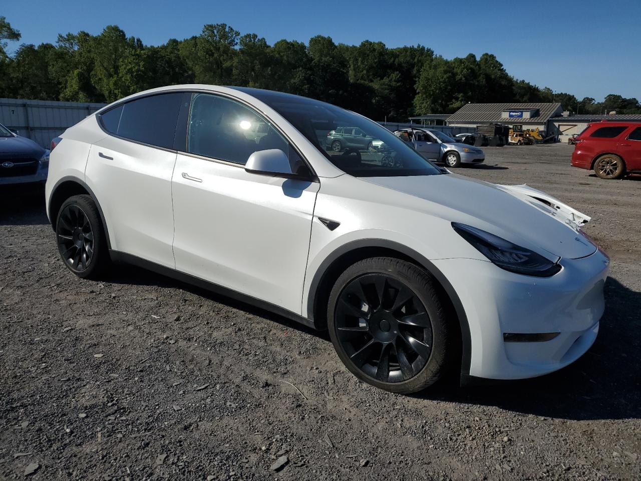 2023 TESLA MODEL Y  VIN:7SAYGDEEXPA105845