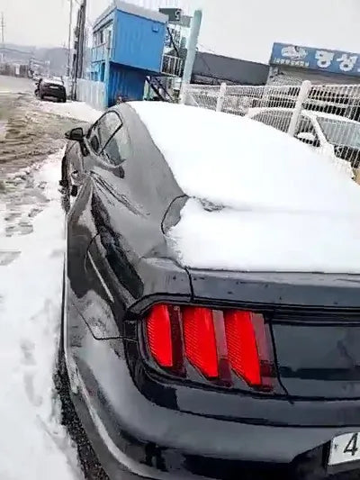 2017 Ford Mustang 1FA6P8TH4H5319413 VIN:1FA6P8TH4H5319413