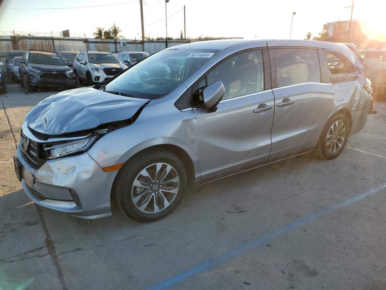 2024 HONDA ODYSSEY EXL VIN:5FNRL6H66RB023713