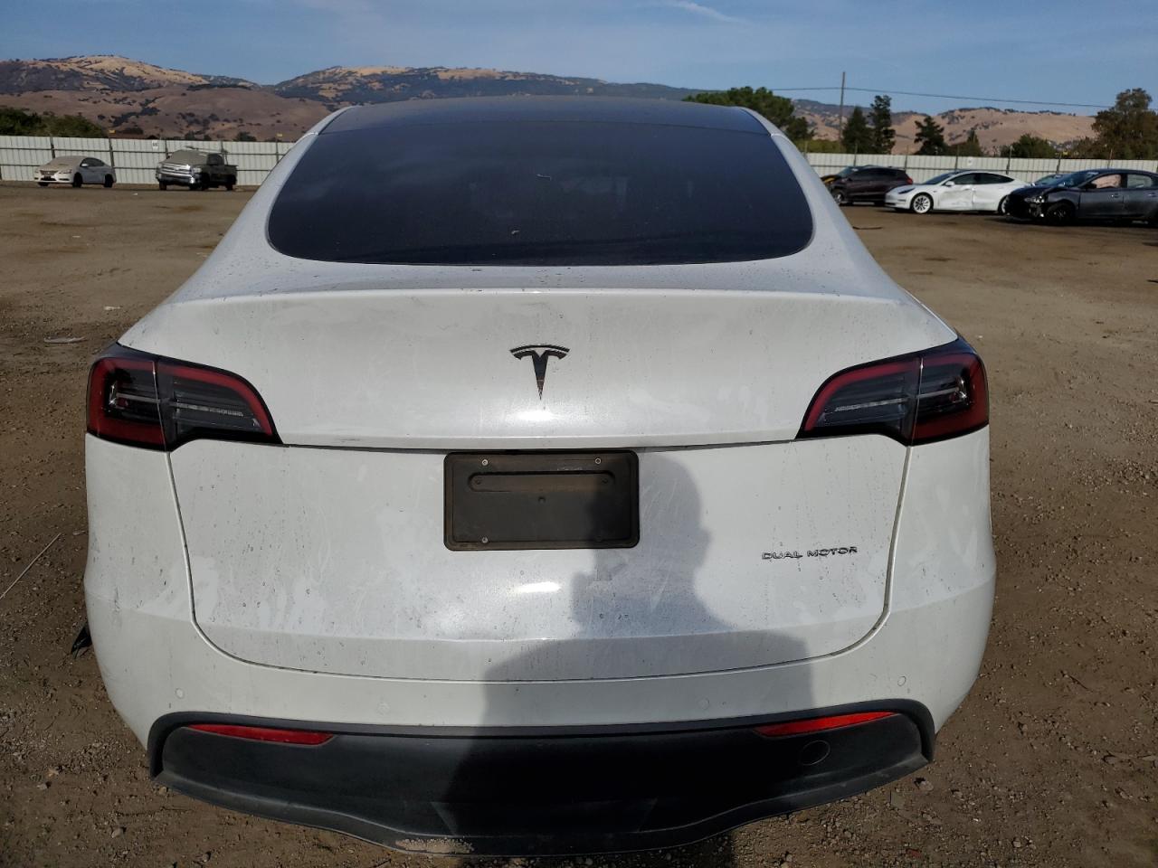 2023 TESLA MODEL Y  VIN:7SAYGDEE6PF583151