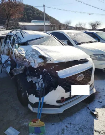 2019 Hyundai Santa FE KMHS281BBKU181514 VIN:KMHS281BBKU181514